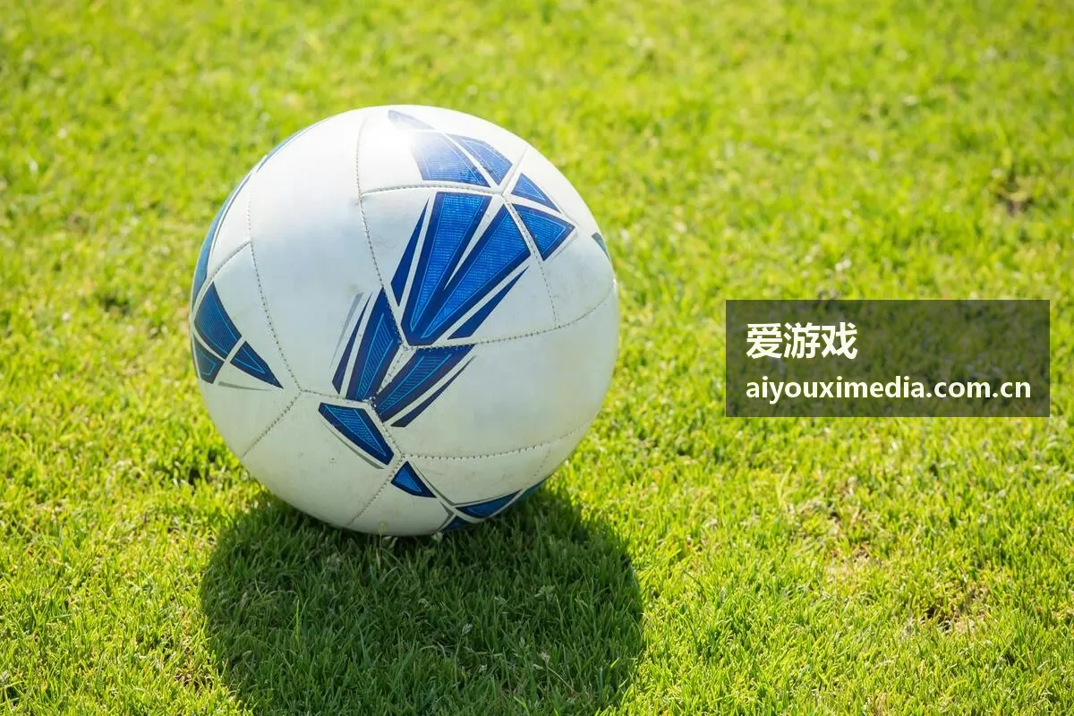 爱游戏高尔夫巡回赛场封面